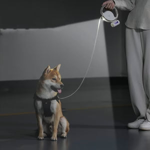 Automatic Lighting Retractable Dog Leash ( 30 Days Replacement Warranty)